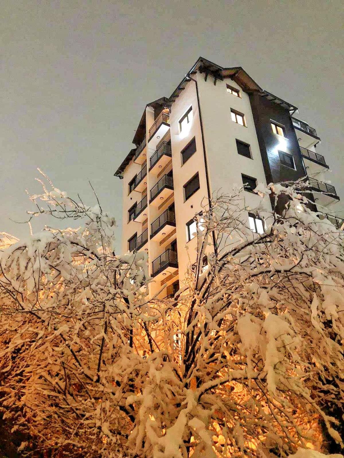 Apartment Golden Pine Lux *